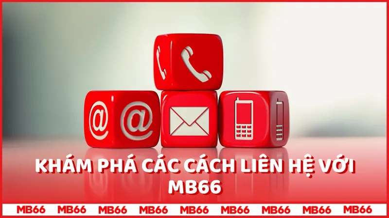 Các cách liên hệ với MB66