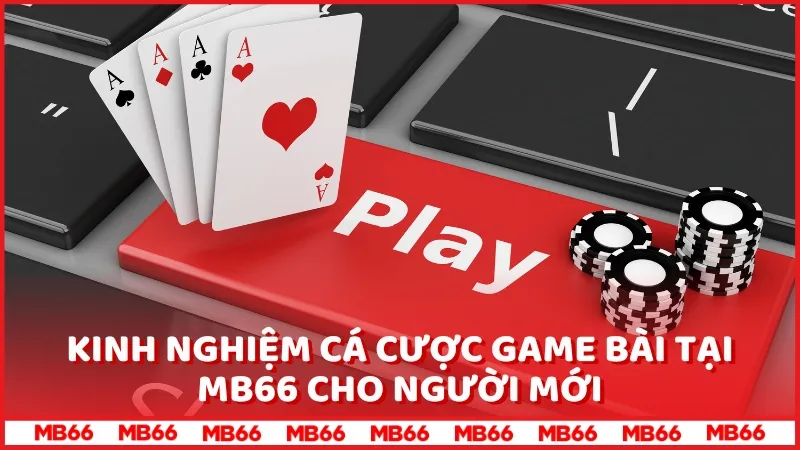 Kinh nghiệm cá cược game bài tại MB66 cho người mới