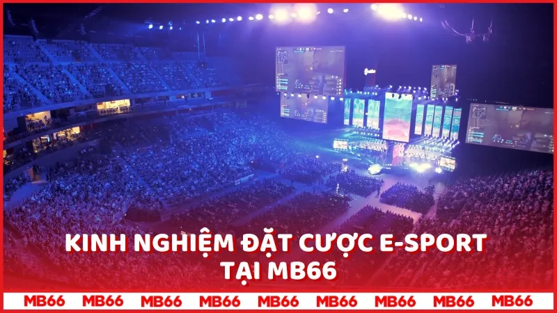 Kinh nghiệm đặt cược E-Sport tại MB66