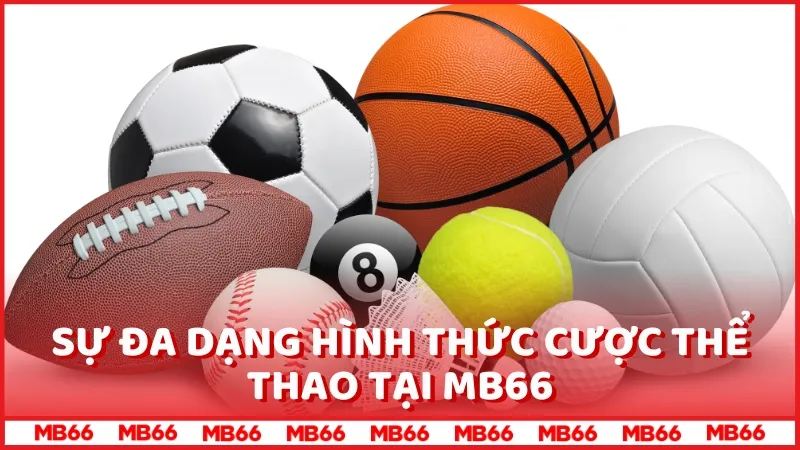 Sự đa dạng hình thức cược Thể thao tại MB66