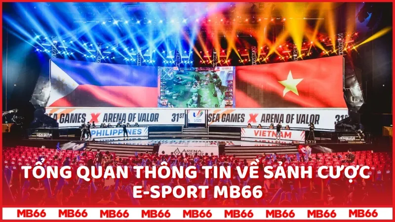 Tổng quan về sảnh cược E-Sport MB66